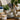 Best Online Stores for Home Essentials: 2026 Guide