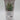 A Fresh Herb Storage Container - Small Pink by Bullseye’s Playground features a clear body displaying green herbs inside. The label on the front offers accurate product information with usage and care instructions and lists the price as $5.